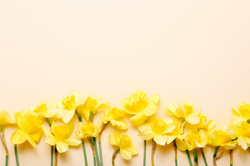 Fototapeta na wymiar Spring narcissus flowers on color background. Top view