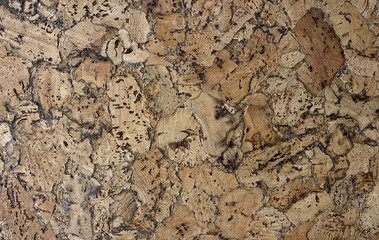 Natural wooden pith a texture a beige background