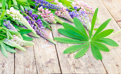 Wildflowers. Lupine flowers on old shabby wooden table. Vintage floral background