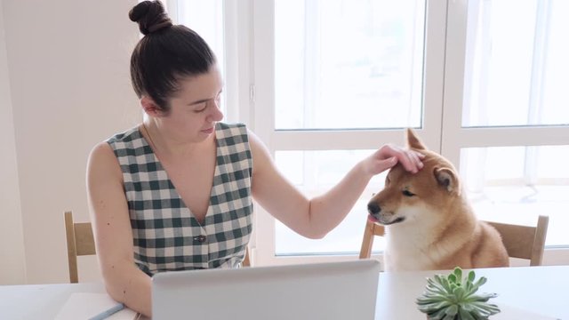 Covid-19 self-isolation and working from home concept. Woman using laptop, Shiba Inu dog near her