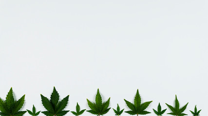 Medical marijuana leaves on white background, flat lay. Concept of health care, herbal and alternative medicine