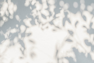 Abstract leaves shadow blurred background. Natural leaves tree branch shadows and sunlight dappled on white concrete wall texture