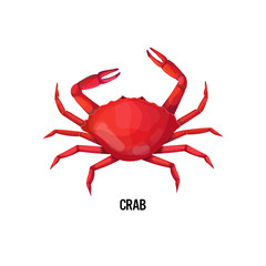 fresh crab isolated on white background seafood concept vector illustration