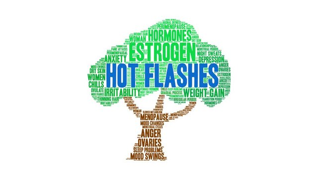 Hot Flashes animated word cloud on a white background. 