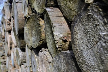 Stacked trees
