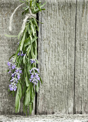 Lavender tuft hanging under the roof and drying on the background of old textured wooden wall, closeup, copy space, agriculture and aroma herbs concept, vertical