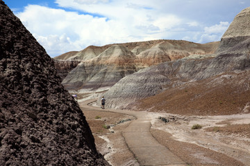 Obraz premium Arizona / USA - August 01, 2015: Petrified Forest National Park landscape, Arizona, USA