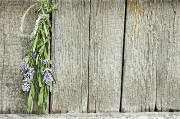 Lavender tuft hanging under the roof and drying on the background of old textured wooden wall, closeup, copy space, agriculture and aroma herbs concept