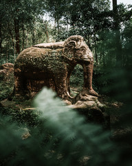 Old elephant statue in Phnom Kulen, Siem Reap, Cambodia