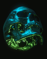 Neon Black Skull Isolated on Black Background