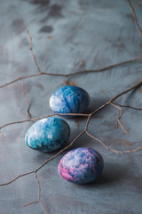  Easter painted colorful eggs and branch on a blue background.