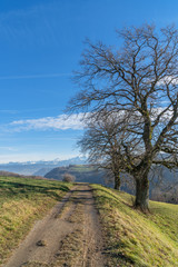 Fototapeta na wymiar Wanderweg entlang eines Feldes im Winter