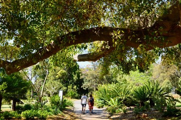 People walking in the Royal Botanic Gardens in Sydney, Australia