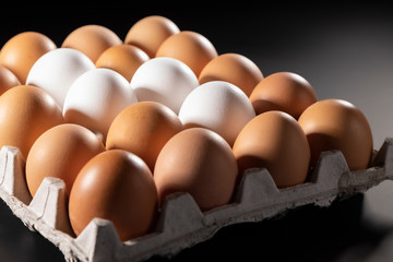 tray with chicken eggs on a dark background