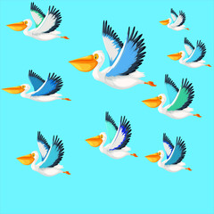 seamless pattern with birds, birds in the sky