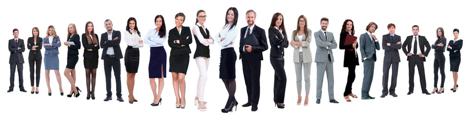 panoramic photo of a professional numerous business team