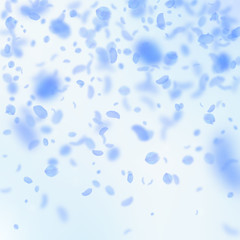 Dark blue flower petals falling down. Extra romant