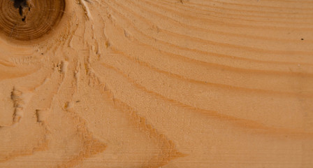 texture of wood