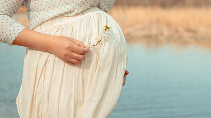 One pregnant woman in a white dress on a background of a river spring. She hugs stomach with his hands and holds a flowering branch of a spring tree. Vintage toning. Pregnancy planning