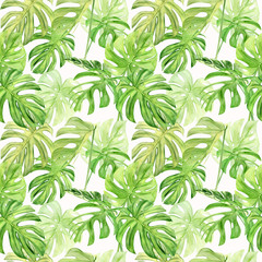 Fototapeta premium Watercolor illustration seamless pattern of tropical leaf monstera. Perfect as background texture, wrapping paper, textile or wallpaper design. Hand drawn