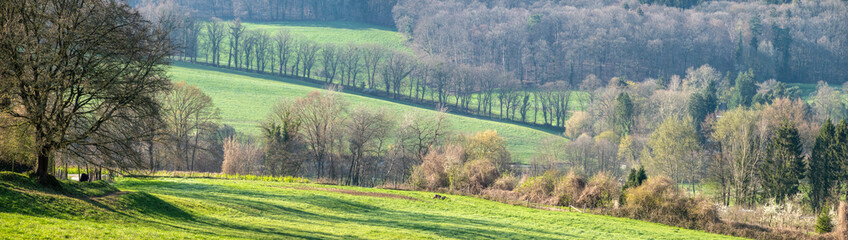 GERMANY, BONN. beautiful landscape near Bonn in springtime on a sunny afternoon.