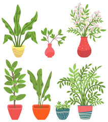 Flowers in vases, floral decor for home flat style flourishing on branches, plant with frondage, tender and elegant design, container interior. Isolated flowerpot with blooming plant . Vector in flat
