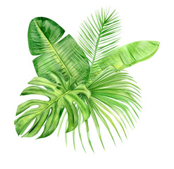 Fototapeta na wymiar Green palm leaves bouquet. Tropical plant. Hand painted watercolor illustration isolated on white background. Realistic botanical art. Design element for fabrics, invitations, clothes and other