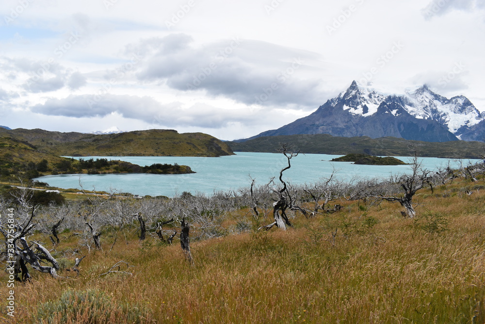 Wall mural Snow covered mountains with the light blue ocean in front in Torres del Paine National Park in Chile, Patagonia