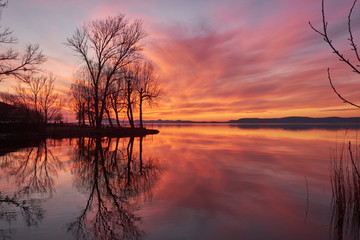 Fototapeta na wymiar trees at the lake sunset mirroring water surface hills in background, Balaton, Hungary