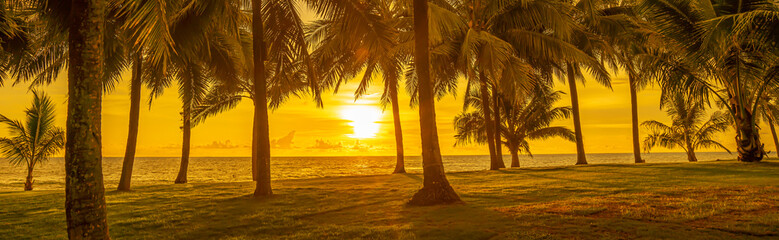 panorama of a tropical landscape. palm trees by the sea on a yellow background, sunset time