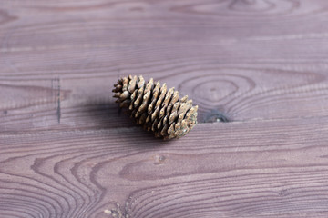 fir tree cone on brown wooden background
