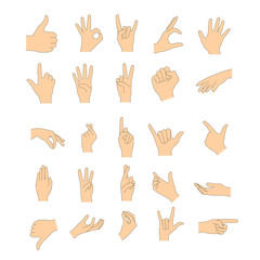 Set of human hands showing various gestures. Flat illustration of female and male hands isolated on a white background.