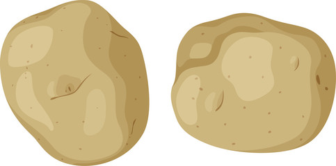 じゃがいもpotato illustration
