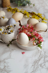 Easter eggs with spring flowers  