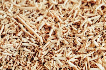 Texture of wood shavings as a background image. Background of fresh wood shavings. Copy, empty space for text