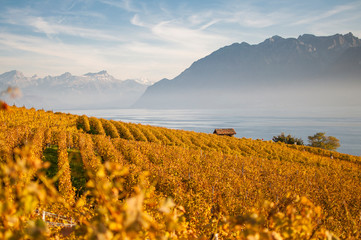 Vue du lavaux en automne avec lac, cabane et montagnes 