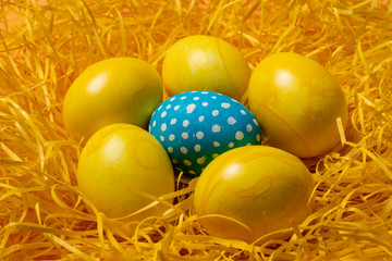 Fototapeta na wymiar yellow easter eggs on straw background