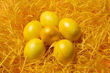 yellow easter eggs on straw background