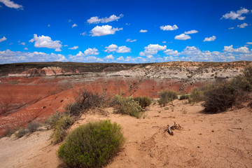 Arizona / USA - August 01, 2015: Painted Desert National Park landscape, Arizona, USA