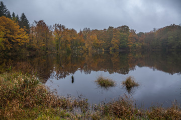 Fototapeta premium Autumnal lake shore with forest under sky. Trees on rock coast of rippling lake in autumn sunny day. Beautiful panoramic landscape with yellow trees on big stones and lake.
