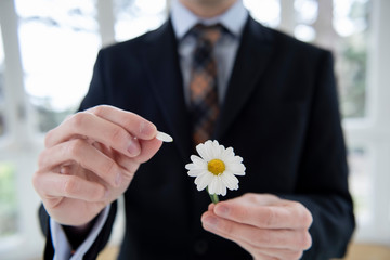 Man in a suit defoliating the daisy