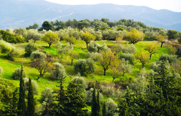 Beautiful view of Greek nature during day