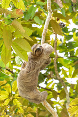 Foto de Natureza da natureza e pássaros