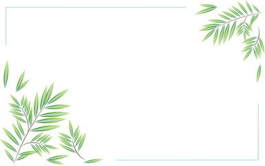 willow branches lines collage vector