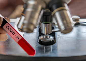 Protective gloves holding   COVID-19 or CoronaVirus test tube for blood sample analyses, routine...