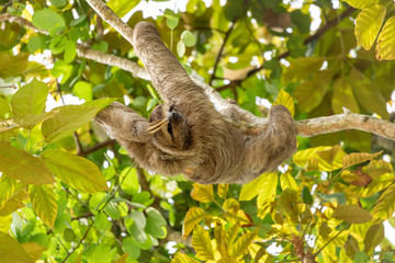 Foto de Natureza da natureza e pássaros