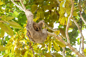 Foto de Natureza da natureza e pássaros