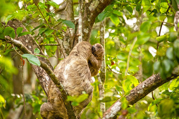 Foto de Natureza da natureza e pássaros