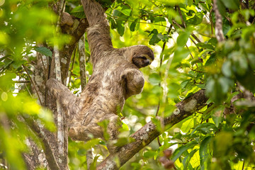Foto de Natureza da natureza e pássaros