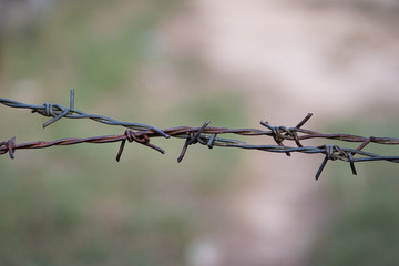 Barbed Wire